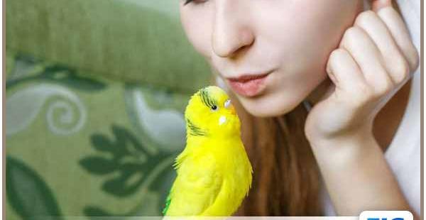عکس حرف زدن مرغ عشق