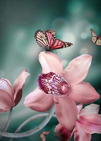 عکس گل های طبیعی خیلی زیبا