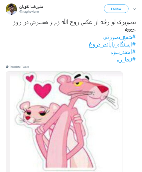 عکس طنز پلنگ صورتی