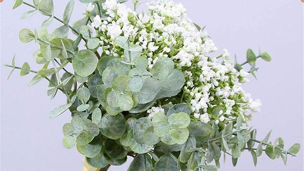 عکس گل طبیعی خانگی عروس