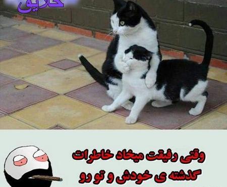 عکس خنده دار عکس باحال