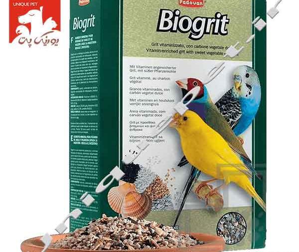 عکس مرغ عشق و قناری