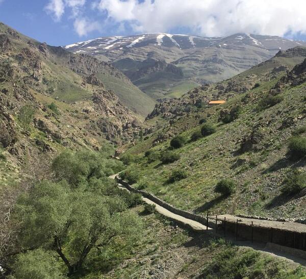 عکس پلنگ چال