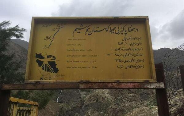 عکس پلنگ چال