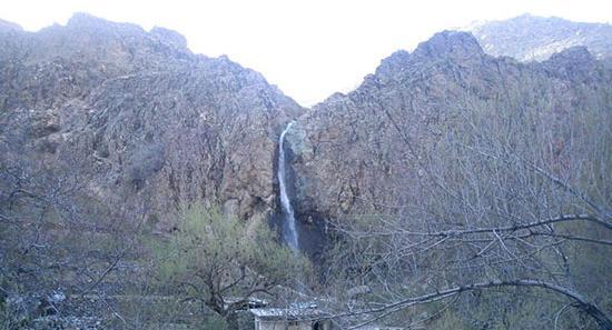 عکس پلنگ چال