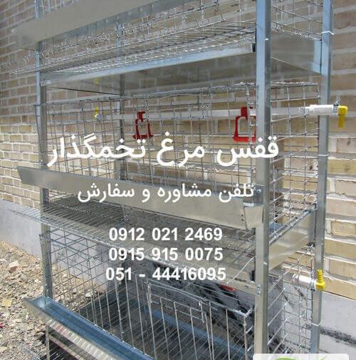 عکس قفس چوبی مرغ عشق