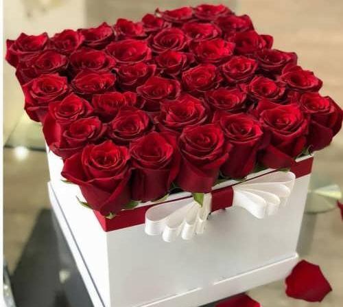 عکس گل طبیعی ولنتاین