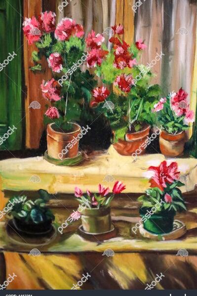 عکس گل طبیعی پشت پنجره