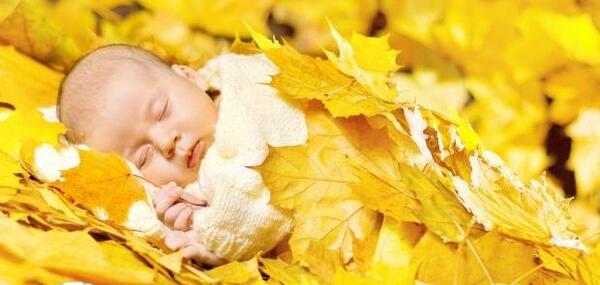 عکس نی نی پاییزی