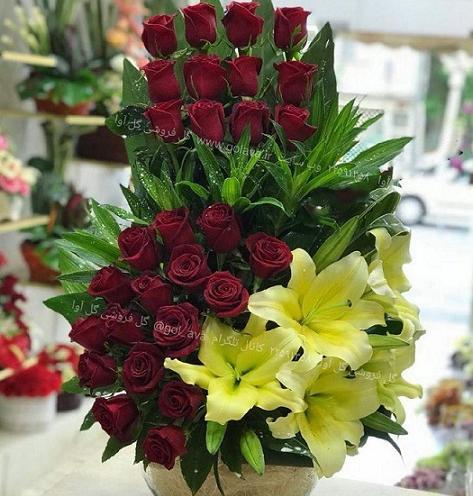 عکس گل طبیعی خواستگاری