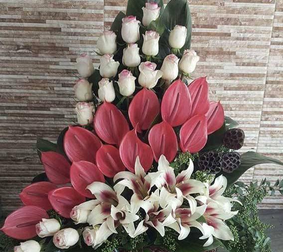عکس گل طبیعی خواستگاری