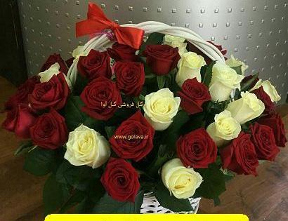 عکس گل طبیعی خواستگاری