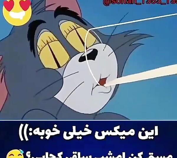 عکس خنده دار موش و گربه