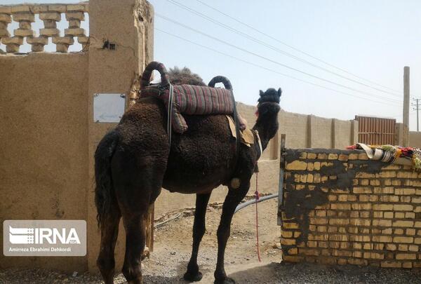 عکس زن زیبای هندی