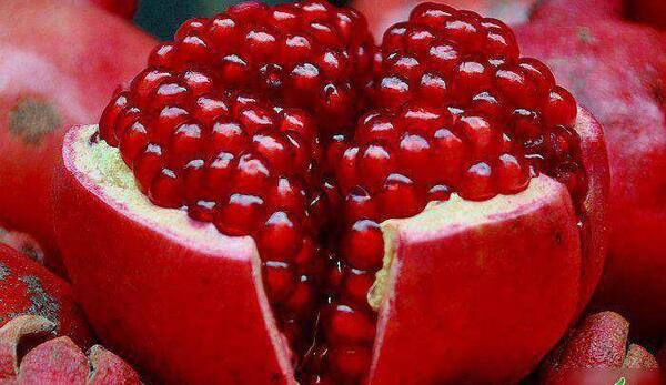 عکس یلدا انار