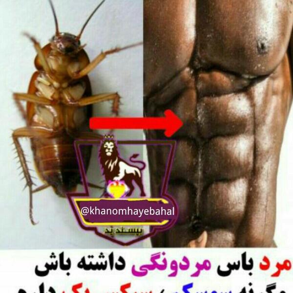 عکس طنز سیکس پک