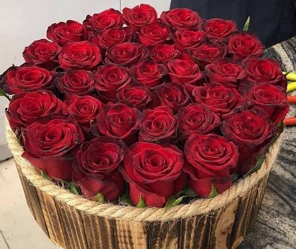 عکس گل طبیعی تو گلدان