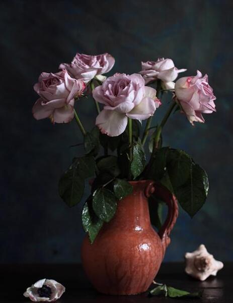 عکس گل طبیعی تو گلدان
