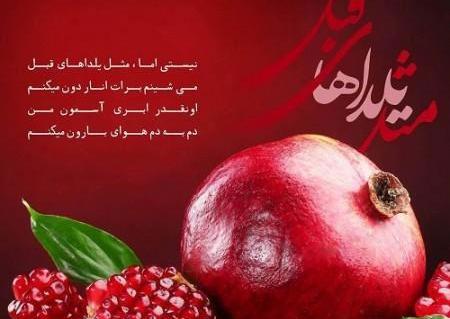 عکس تبریک گفتن یلدا