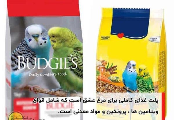 عکس برنامه غذایی مرغ عشق
