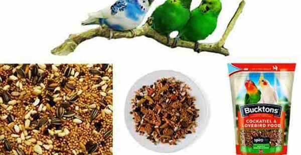 عکس برنامه غذایی مرغ عشق