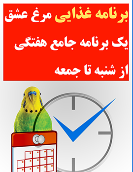 عکس برنامه غذایی مرغ عشق