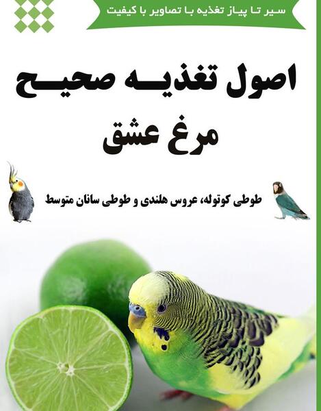 عکس برنامه غذایی مرغ عشق