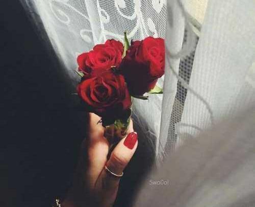 عکس گل طبیعی در دست دختر