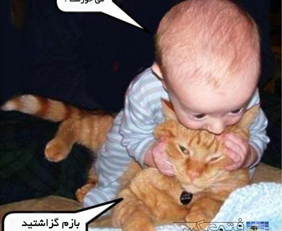 عکس گربه باحال خنده دار
