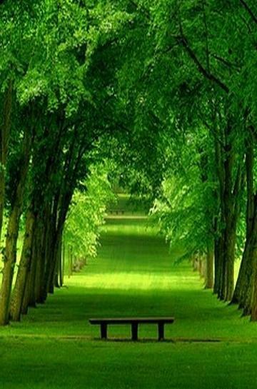 عکس پس زمینه گوشی نوکیا ساده