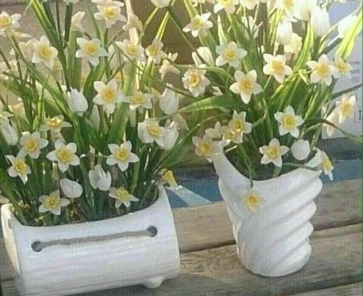 عکس گل کریستال نرگس