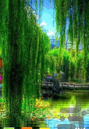 عکس تصویر زمینه گوشی زنده