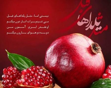 عکس شب یلدا در طبیعت
