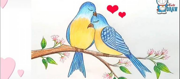 عکس مرغ عشق برای نقاشی