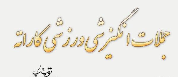 عکس جملات انگیزشی ورزشی رزمی