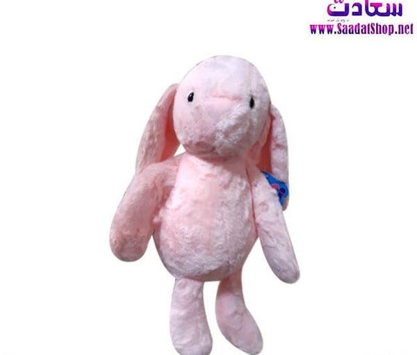 عکس خرگوش گوش بلند