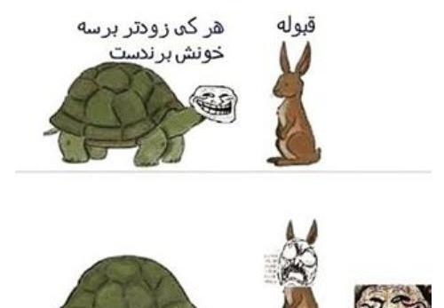 عکس طنز خرگوش