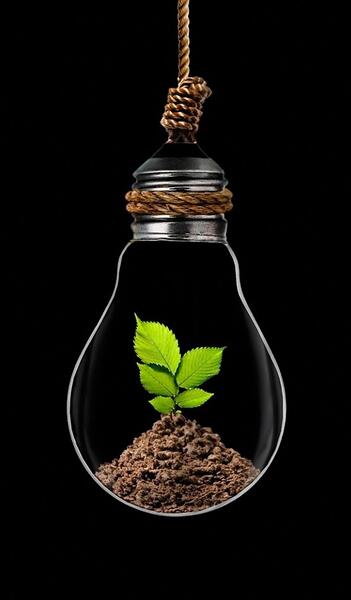 عکس تصویر زمینه گوشی موبایل