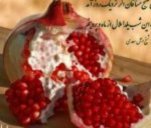 عکس یلدا پاپی