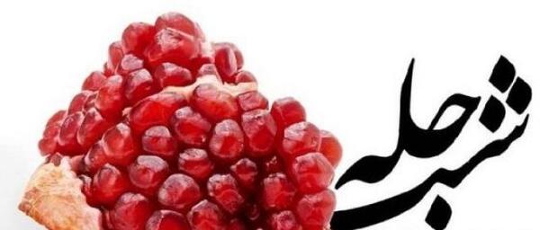 عکس یلدا پاپی