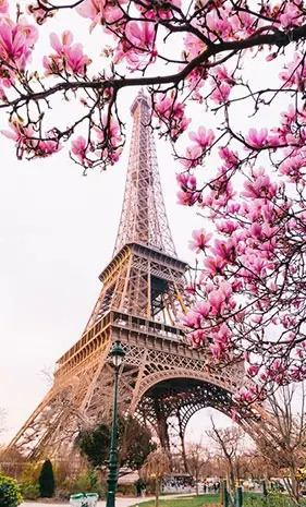 عکس تصویر زمینه گوشی برج ایفل