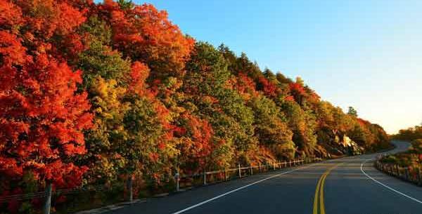 عکس پس زمینه شیک و باکلاس طبیعت
