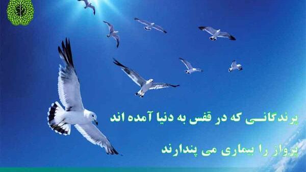 عکس جملات انگیزشی در مورد مهاجرت