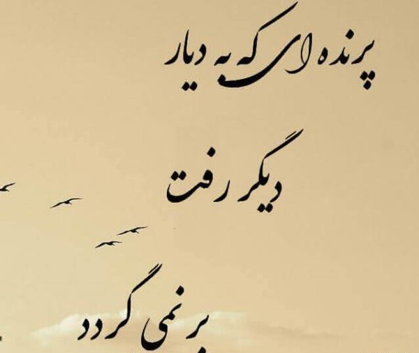 عکس جملات انگیزشی در مورد مهاجرت