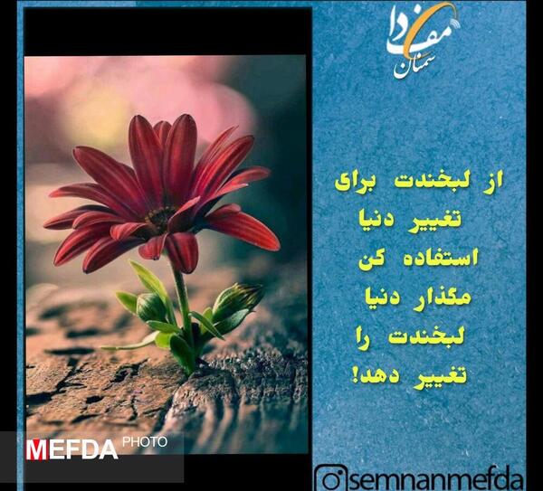 عکس جملات انگیزشی گل