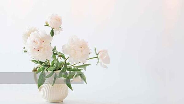 عکس جملات انگیزشی گل