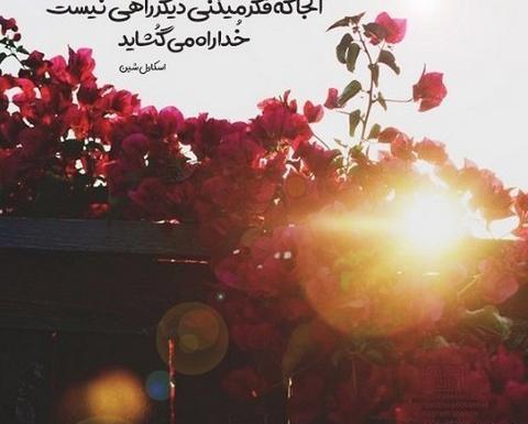 عکس جملات انگیزشی گل