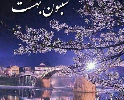 عکس شبتون شیک