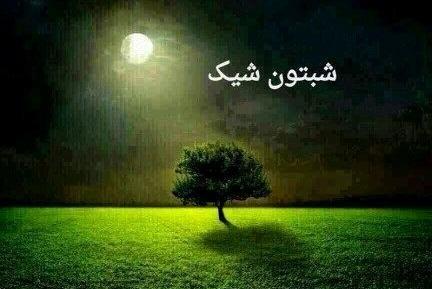عکس شبتون شیک