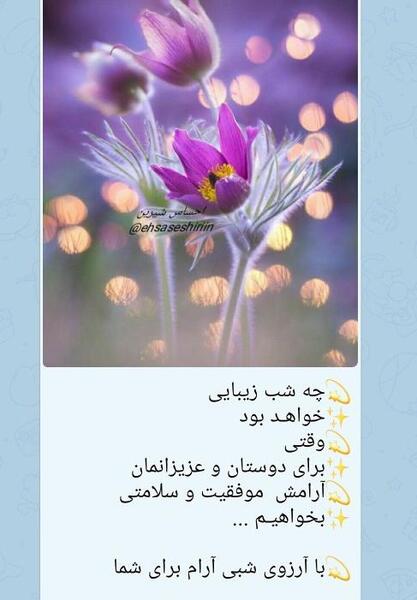 عکس شبتون نورانی